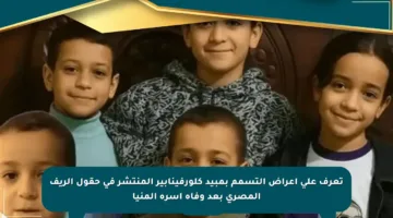 تعرف على أعراض التسمم بمبيد كلورفينابير المنتشر في حقول الريف المصري بعد وفاة أسرة المنيا